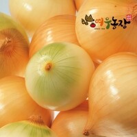 양파(10kg)